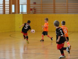 mini-IMG_6914